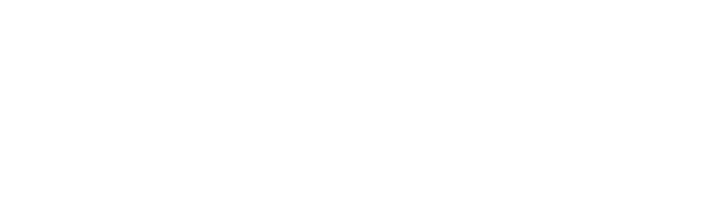 DENGG Engineering Security